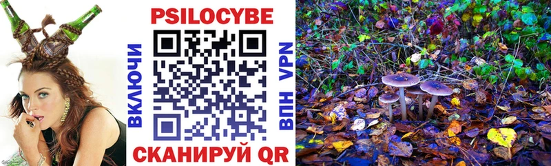 Галлюциногенные грибы Psilocybine cubensis  Нижний Новгород 